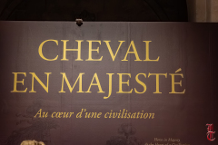 20240927_cheval_en_majeste_001
