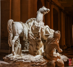 20240927_cheval_en_majeste_003