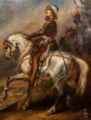 20240927_cheval_en_majeste_009