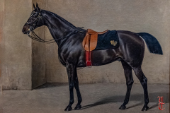 20240927_cheval_en_majeste_114
