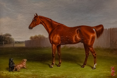 20240927_cheval_en_majeste_115
