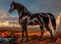 20240927_cheval_en_majeste_172