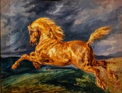 20240927_cheval_en_majeste_173