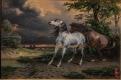 20240927_cheval_en_majeste_174