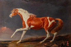 20240927_cheval_en_majeste_175