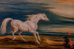 20240927_cheval_en_majeste_176