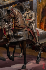 20240927_cheval_en_majeste_239