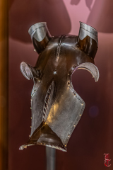 20240927_cheval_en_majeste_245