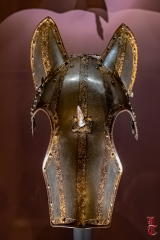 20240927_cheval_en_majeste_248
