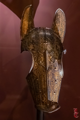 20240927_cheval_en_majeste_249