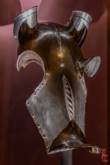 20240927_cheval_en_majeste_250