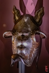 20240927_cheval_en_majeste_252