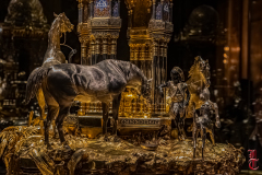 20240927_cheval_en_majeste_465