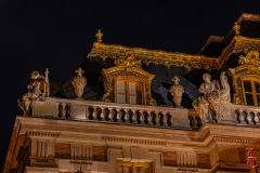 20240927_cheval_en_majeste_601