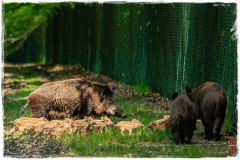 20140504-IMG_3341