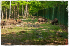 20140504-IMG_3342