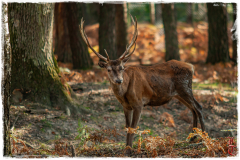 20141003-IMG_8707