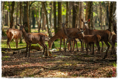 20141003-IMG_8910