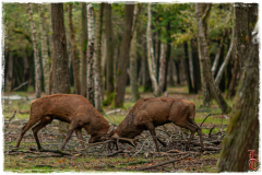 20141005-IMG_9077